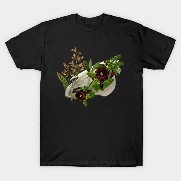 Equus Calvariae Locus T-Shirt by Black Rabbit Curiosities 